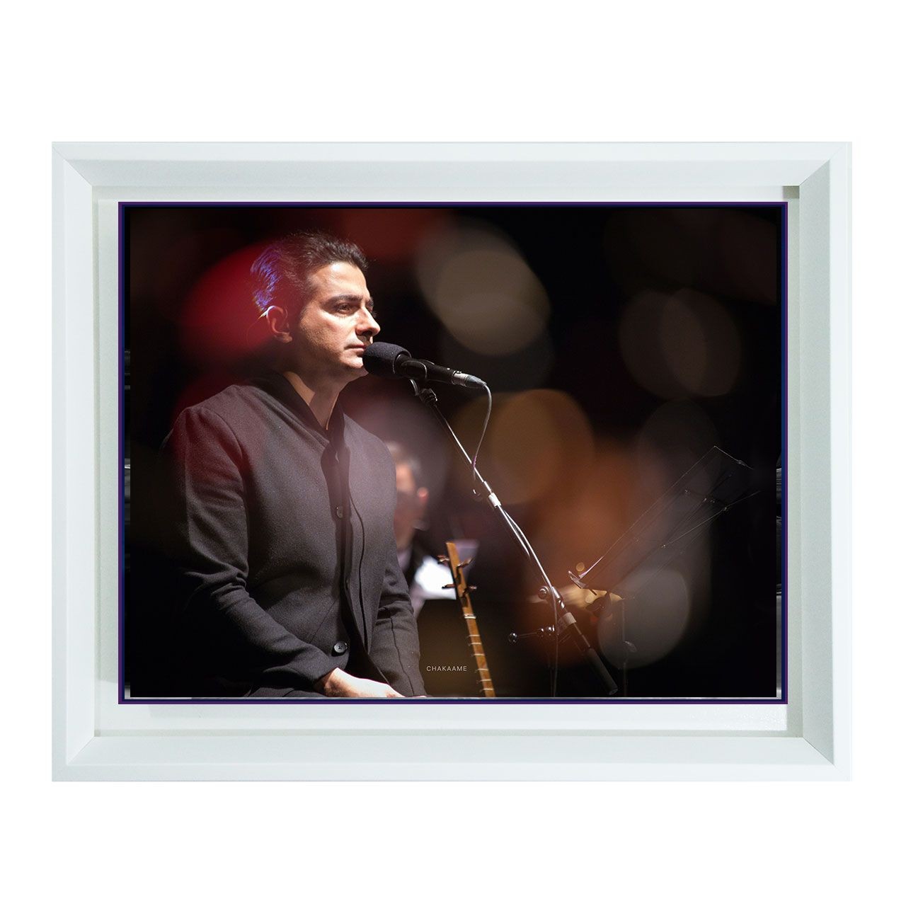 تابلو عکس همایون شجریان تابلو عکس همایون شجریان