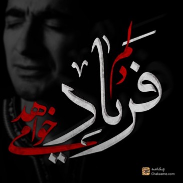 دلم فریاد می خواهد