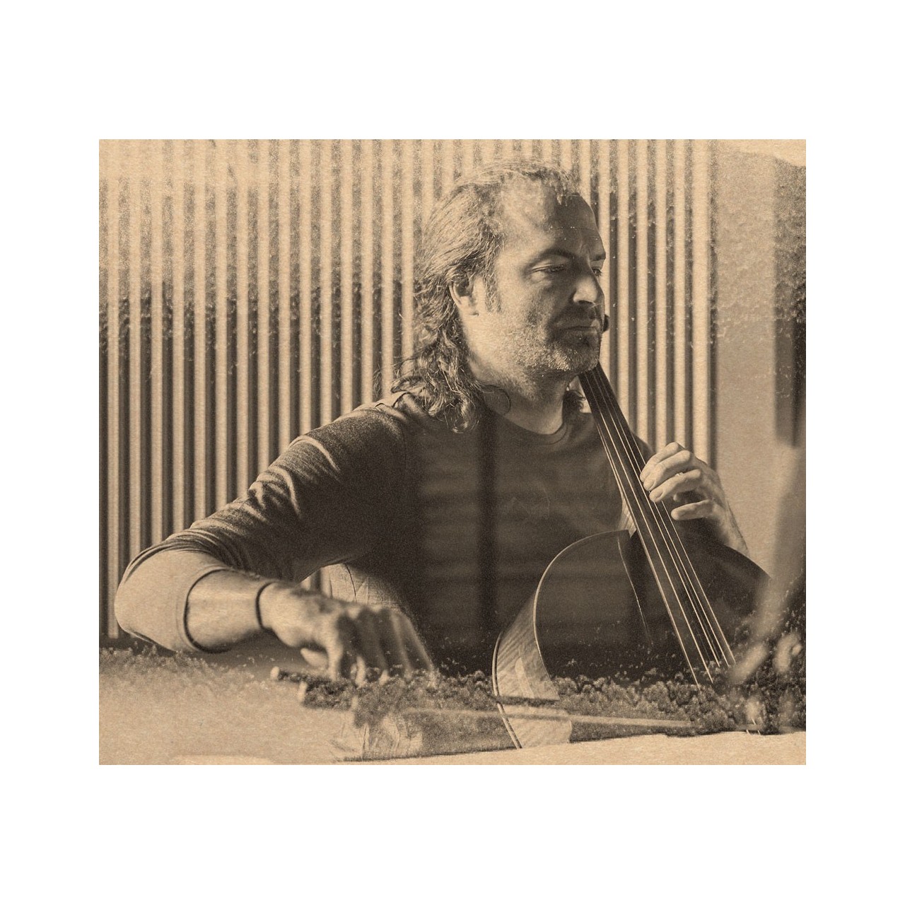 آلبوم گاه فراموشی همایون شجریان آلبوم گاه فراموشی همایون شجریان