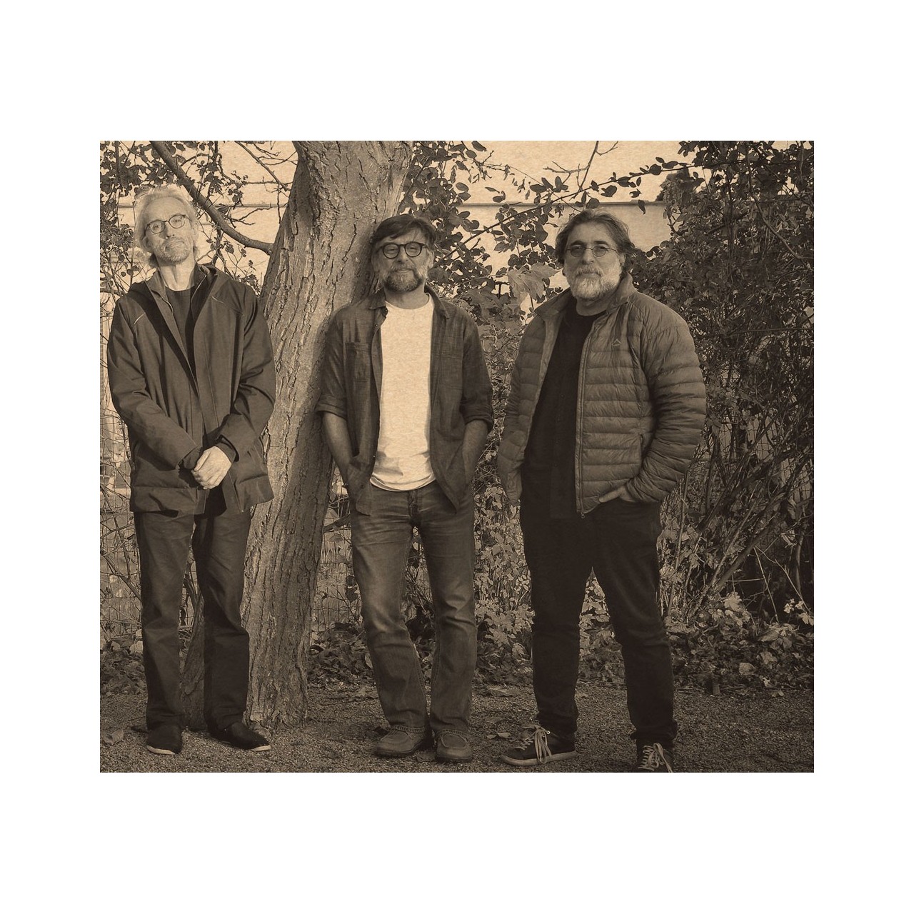 آلبوم گاه فراموشی همایون شجریان آلبوم گاه فراموشی همایون شجریان