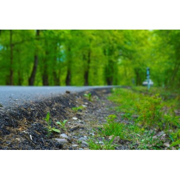 تابلوعکس طبیعت کد df01