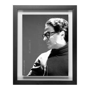 تابلوعکس همایون شجریان 2